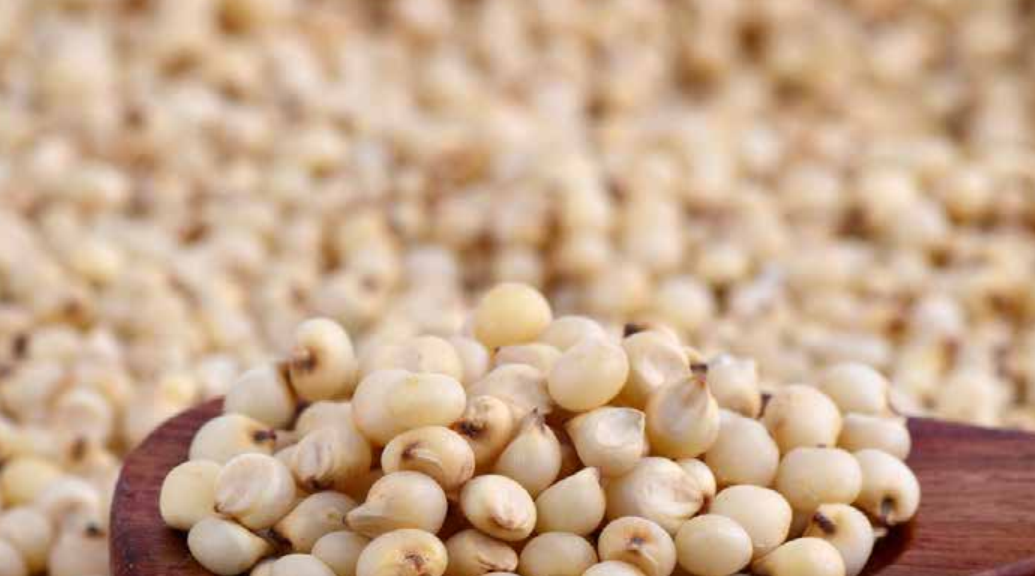 Broom-corn (thin)