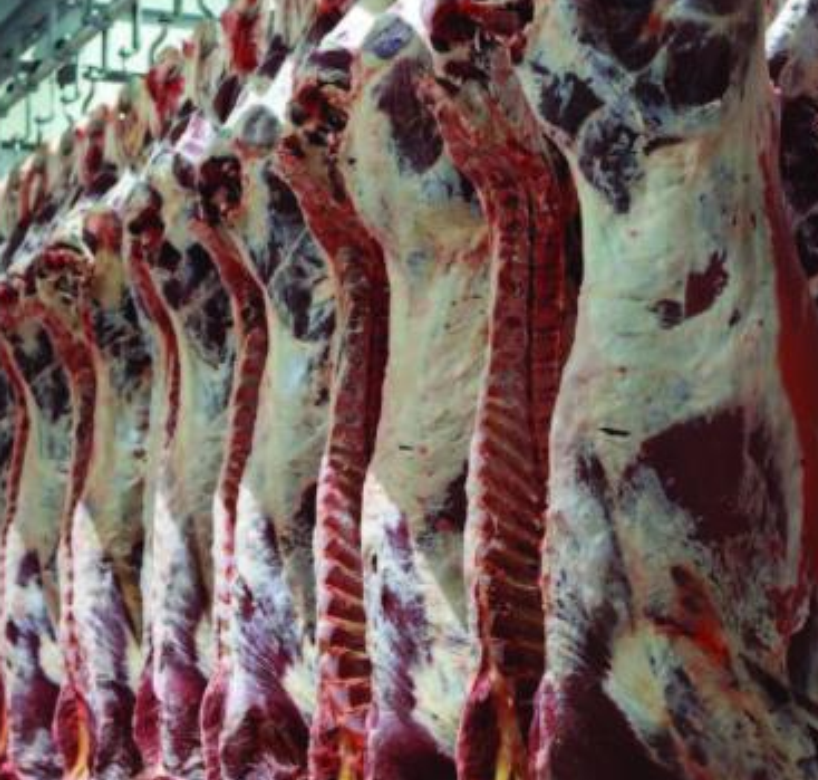 Slaughterhouse & Chilled Meat