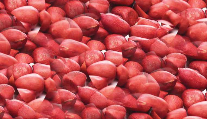 Peanuts