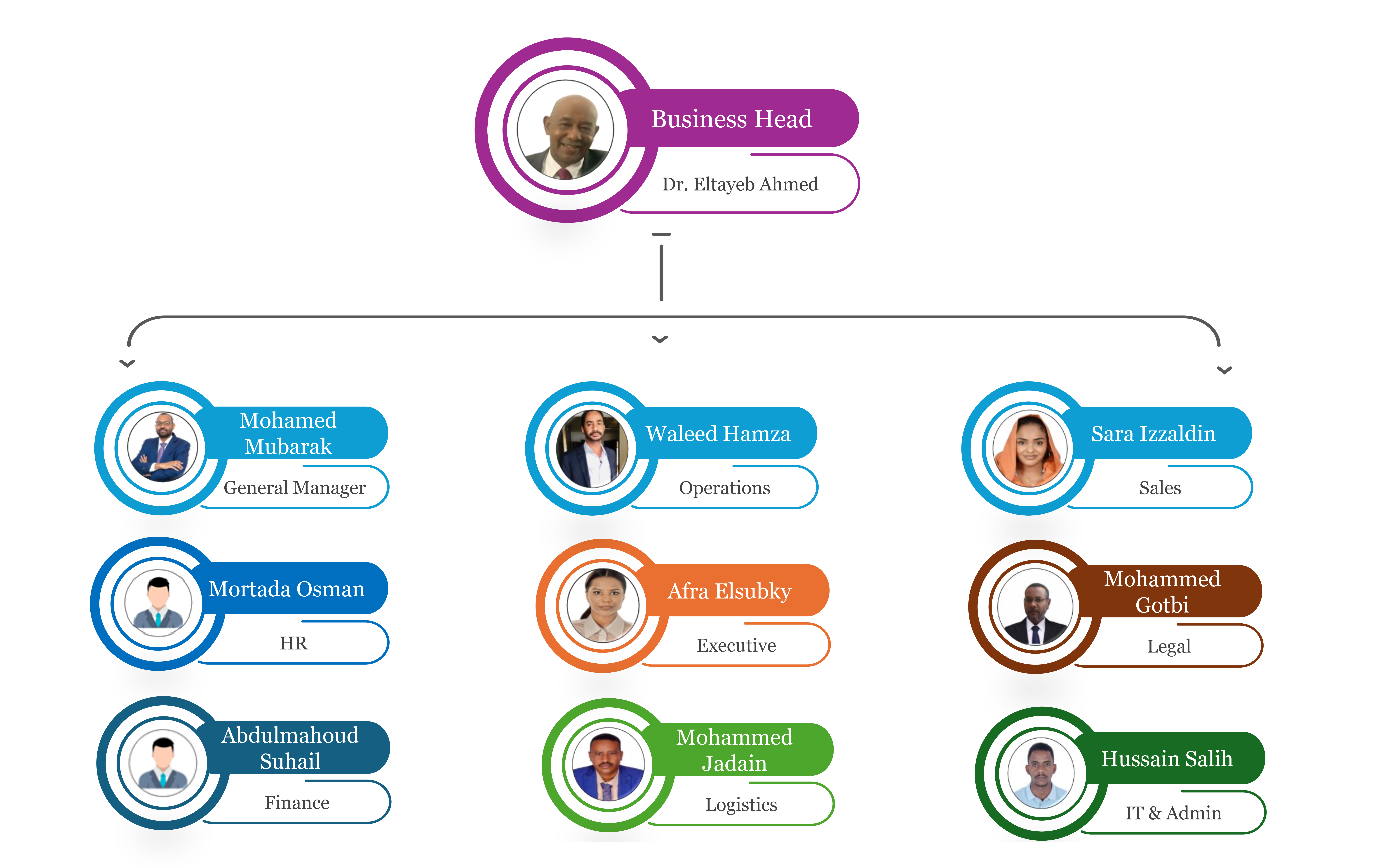 Organizational Structure