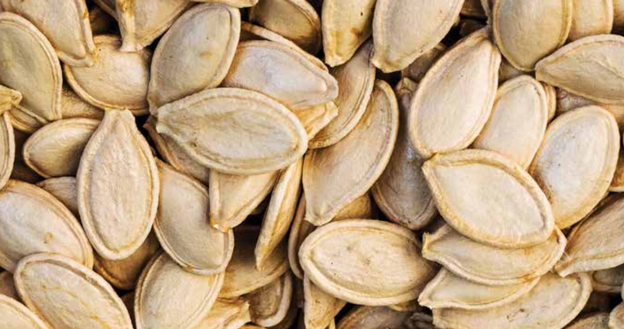 Watermelon Seeds